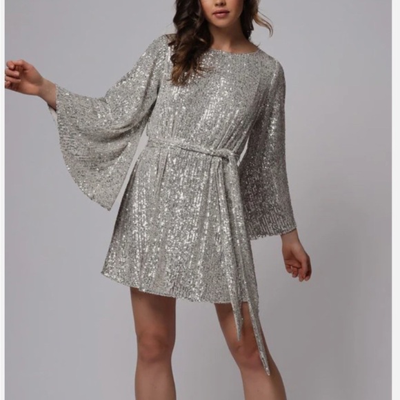 JAYGODFREY Maggie Sequin Mini Dress - Size 10- NWT - Smoke Free Home! - Picture 4 of 12